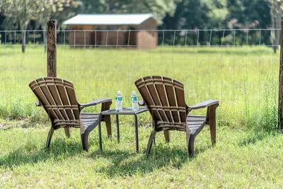 Image de Lemonade Acres, Where Horses Stay for Free!