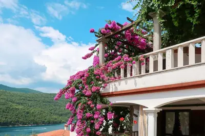 Image de Violetta by Interhome