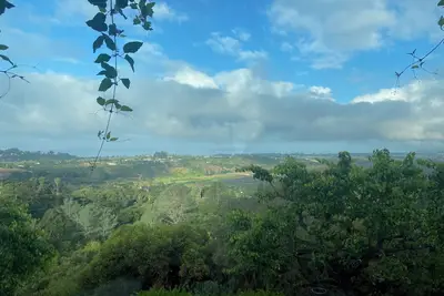 Image de Vineyard House Carpinteria Ca