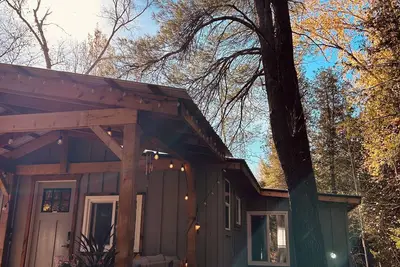 Image de Forest Retreat: Cozy Cabin with Nordic Spa &Bunkie