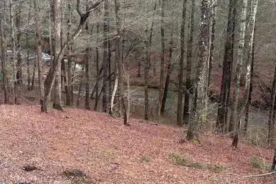 Image de 3-bedroom house in Dahlonega right on Yahoola Creek. WiFi, Fireplace & hot-tub.