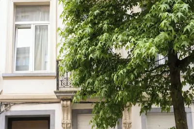 Image de Appartement spacieux et complètement rénové
