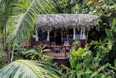 Image de Custom Jungle Home by the Beach