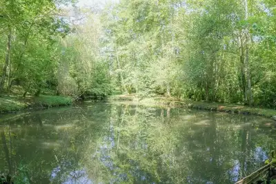 Image de Grande maison, piscine, 2 hectares de forĂŞt, 14 personnes