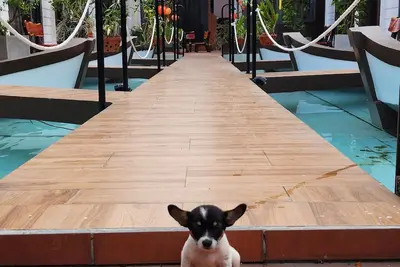 Image de Hoi An Coco Bungalows