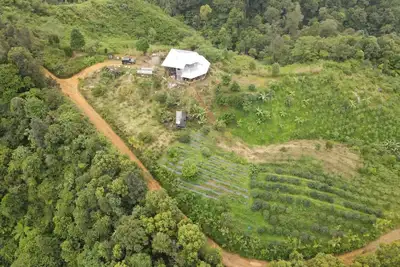 Image de Coffee Farmstay and Roastery in Sumatra, offgrid, authentic, natural