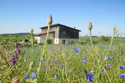 Image de Large apartment with a view of Usedom and Achterwasser on the nature reserve