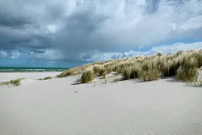 Image de Ferienhaus Prerowliebe