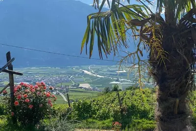 Image de Entire accommodation surrounded by nature with beautiful panoramic terrace