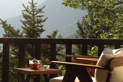 Image de Cozy 3-bedroom chalet in fabulous Smoky Mountains - Breathtaking Views, Ac, WiFi