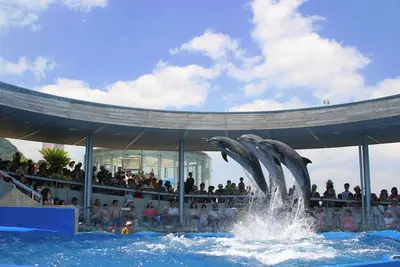 Image de Sunshine City perfect for families and groups ra - 202 \/ Toshima-ku Tokyo