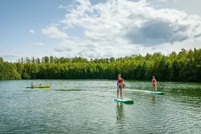 Image de Lodge de rêve dans les bois