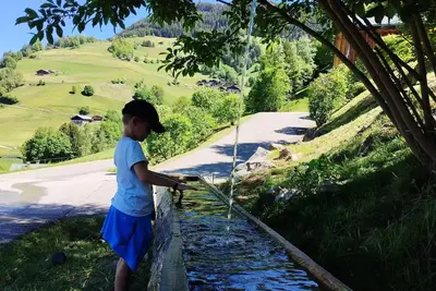 Image de Vue époustouflante, chalet nature, récent, 15 pers. , idéal vacances, wifi. Classé 3 épis Gdf