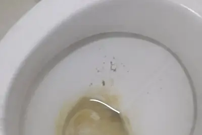 Image de Apartamento na 3a Etapa e 800 Metros do Praia de Itaparica por Temporada