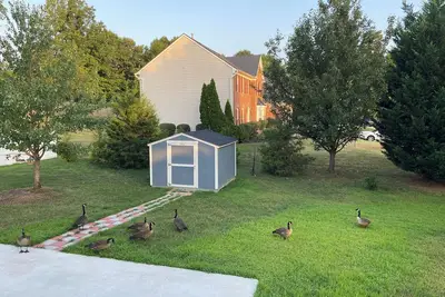 Image de Charming house in fabulous Woodbridge with Ac, WiFi