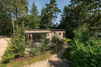 Image de The Forest Lodge is a contemporary and surprisingly spacious chalet.