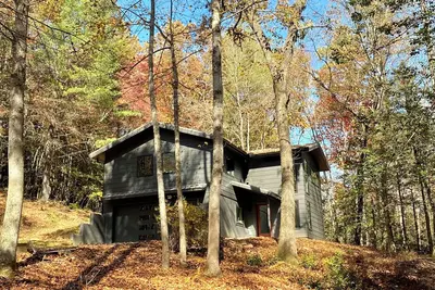 Image de Modern & Cozy! Minutes to Pisgah Nat’l Forest, DuPont, Brevard
