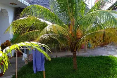 Image de Misonobarini Sweet Villa