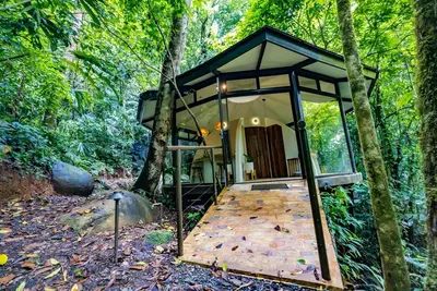 Image de The Nest Unique Jungle Retreat