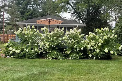 Image de Green Lake Terrace - Ac- Fenced Yard -Dog Friendly. 2 short blocks to the beach.