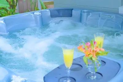 Image de Group fun! w/ Large Hot Tub near St Pete & Beaches