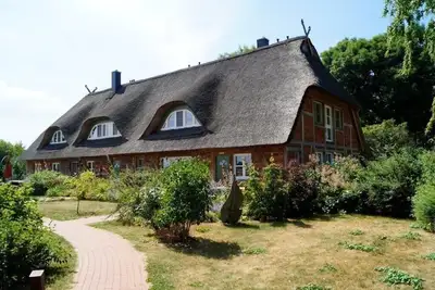 Image de Maison de vacances Insel Langenwerder pour 1 - 7 personnes avec 3 chambres à coucher - Maison jumelé