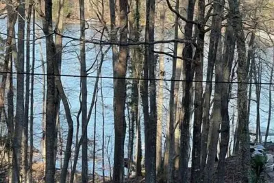 Image de Lake Lanier House 1