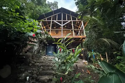Image de Tree Frog House: Waterfront, Caribbean Island Jungle Cabin in Bastimentos w/ Ac