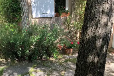 Image de Villa climatisée au calme près de Montpellier, mer et rivière. Animaux acceptés