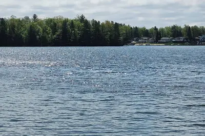 Image de Charming 3-bedroom cottage with WiFi in West Branch