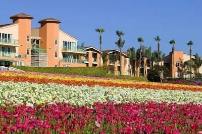 Image de Internal > 000-Car-She-Gra-1bd