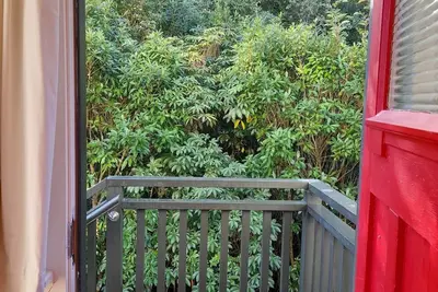 North Dunedin Woodland Sanctuary