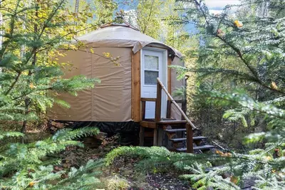 Image de Into the Woods- a  luxury yurt glamping experience