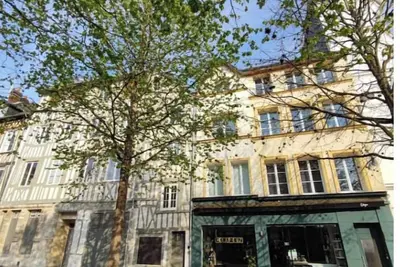 Image de Appartement rénové hypercentre de Rouen au calme
