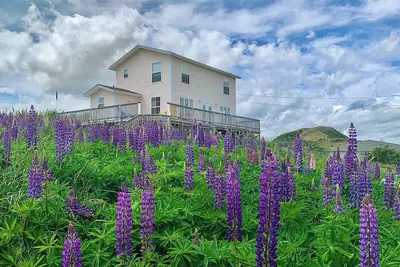 Image de Artisan Inn's Harbour House Vacation Home in Historic Trinity