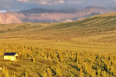 Image de Into the Wild Cabin, Stampede Rd, Close to Denali