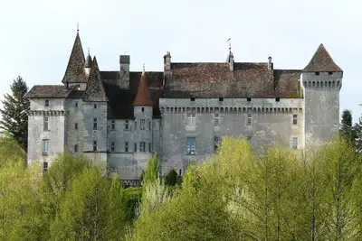 Image de Château-l'Evêque en Périgord- 3 suites et salle a louer a part pour evenements
