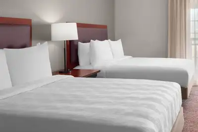 Image de Group Comfort – Homey Suite w/ Kitchen, Living Area & Free Airport Shuttle