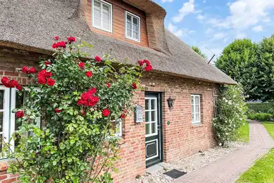 Image de Confortable appartement pour 6 personnes avec Wifi, Tv, animaux admis et parking