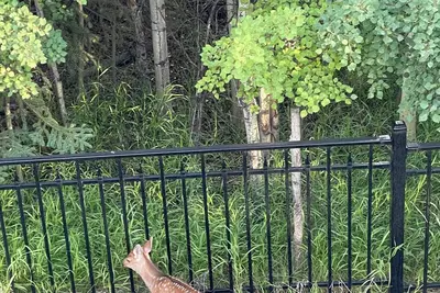 Image de Charming 2-bedroom house with Ac, WiFi in fantastic Calgary