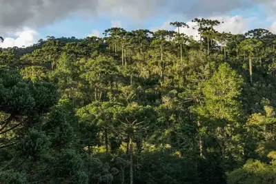 Image de Linda Residência em Campos do Jordão - Sp