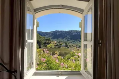 Image de Paisible au milieu des vignes