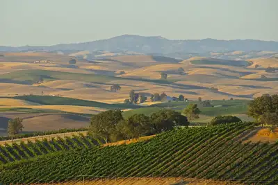 Image de Wine Country Villa -- 9 bedroom, 4 bath, Sleeps 25+