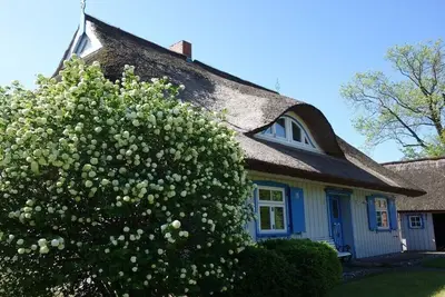 Image de Captain House South Cats 8