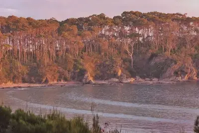 Image de Ocean Views Walk to Malua Beach Ev & Pet Friendly