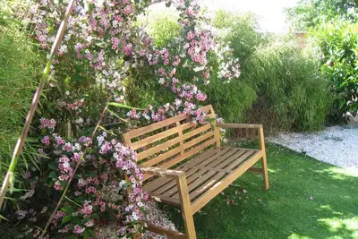 Image de Les Bambous - Plaisance-du-Touch