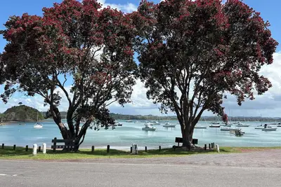 Image de Tuis nest, family beach bach at Opito bay