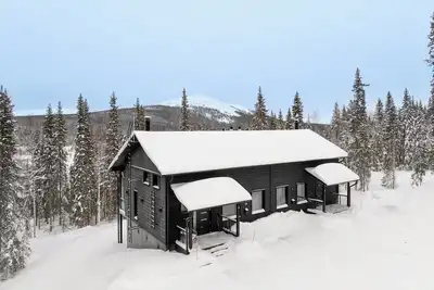 Image de Hormisto 14b by Hi Ylläs