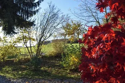 Image de Quiet & cosy Apartment - country side in Niedersteinebach