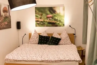 Image de Charming 45m2 Apartment in the Heart of Graz